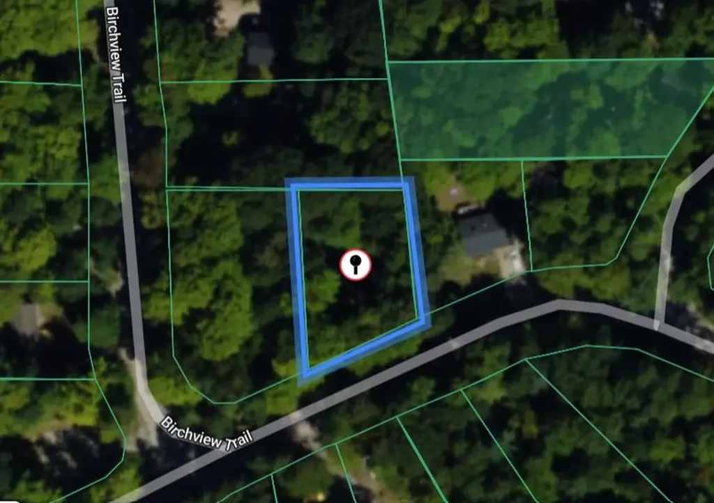 19048 Birch View Trail Almira Township MI 49650