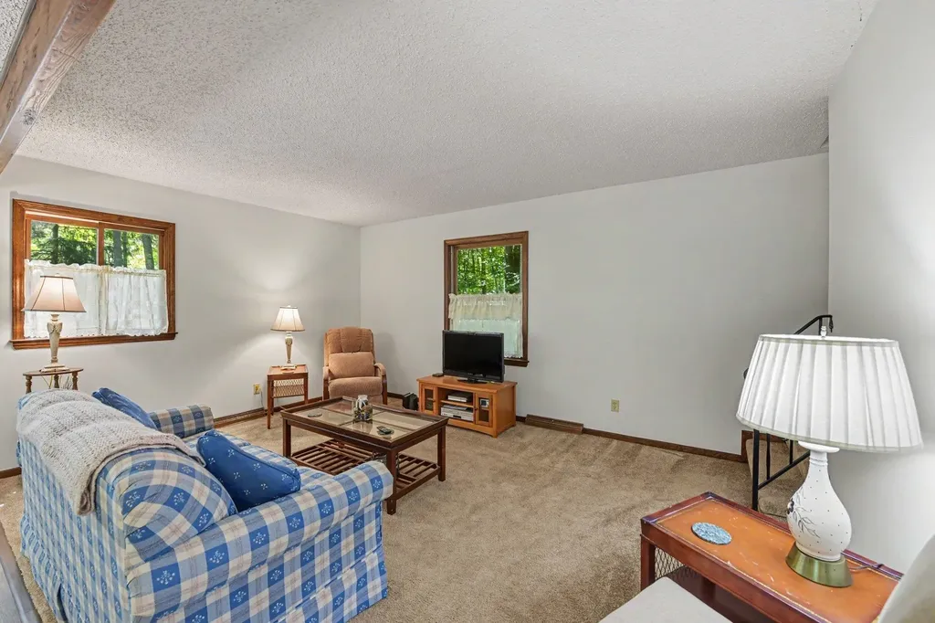 19048 Birch View Trail Almira Township MI 49650