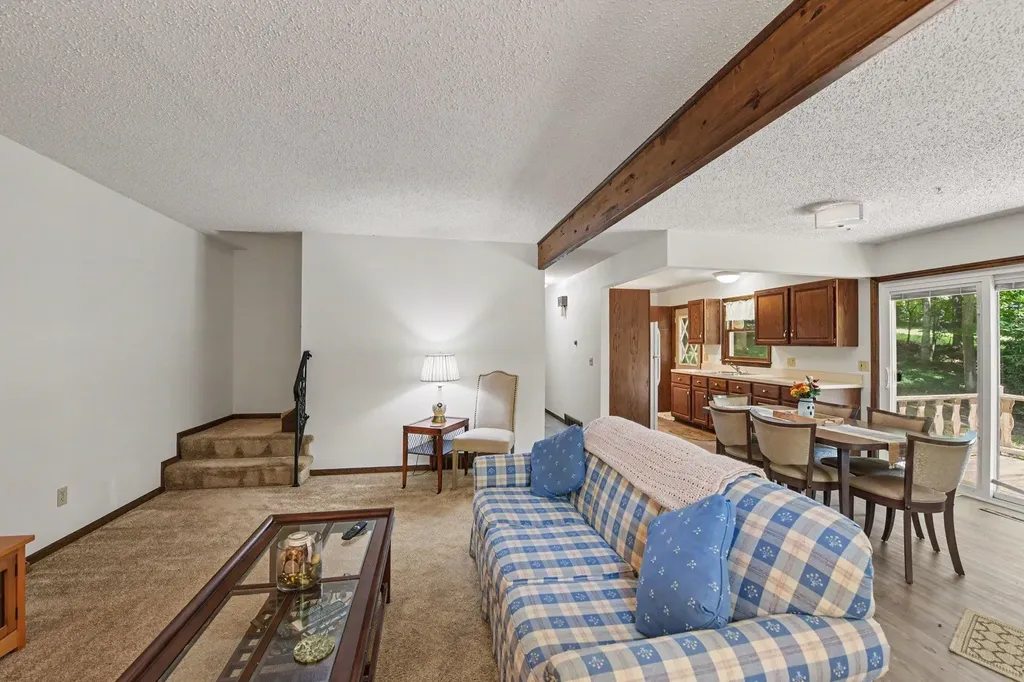 19048 Birch View Trail Almira Township MI 49650