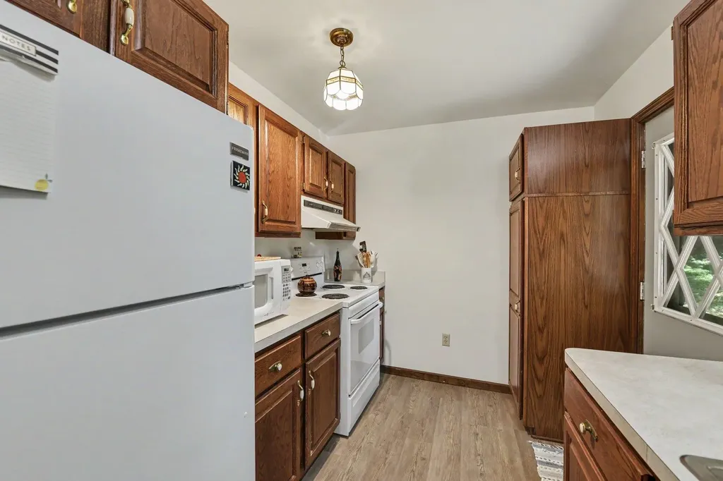 19048 Birch View Trail Almira Township MI 49650