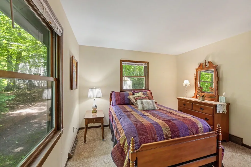 19048 Birch View Trail Almira Township MI 49650