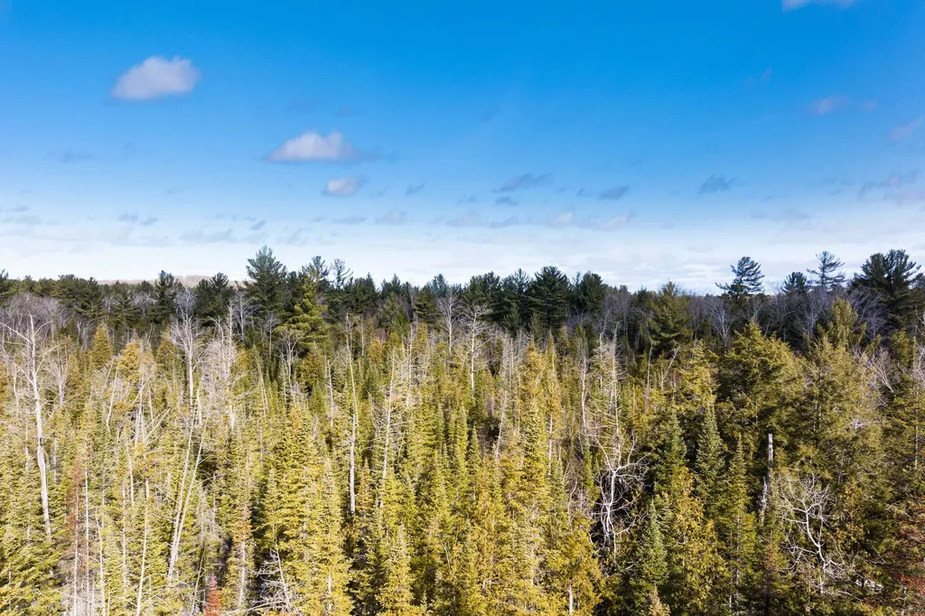 0 S Garfield Road Paradise Township MI 49649