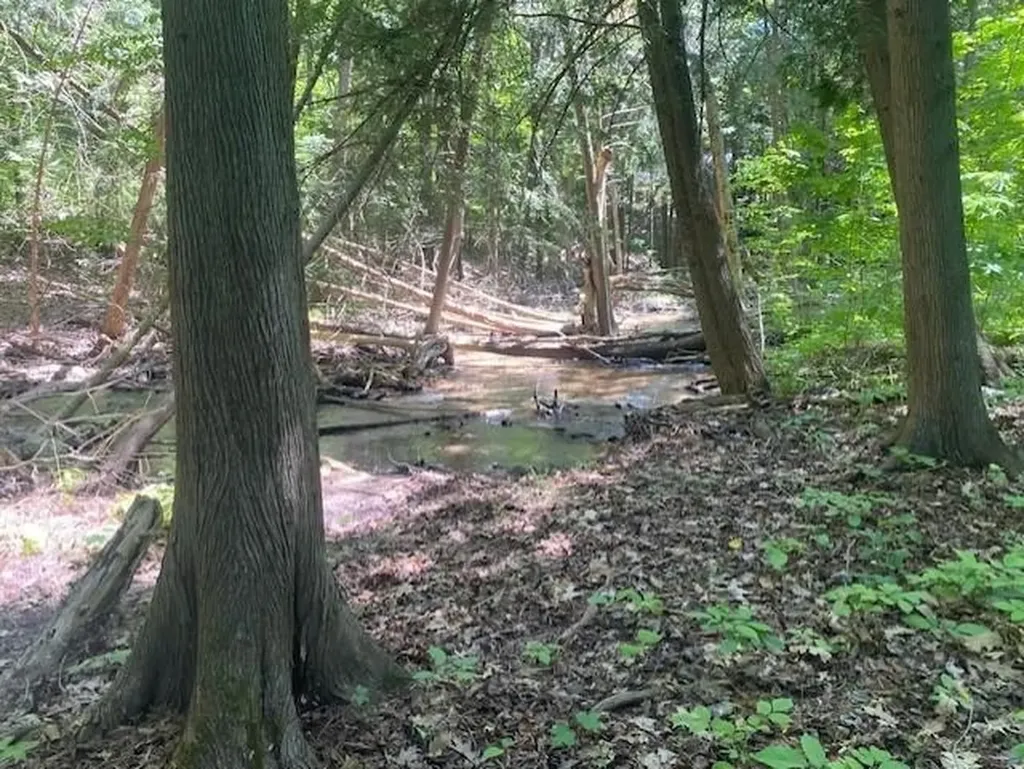 6865 Pinebrook Drive Custer Township MI 49615