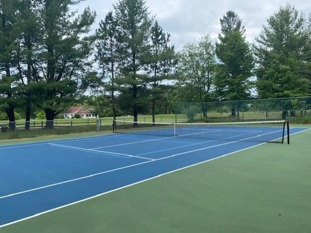 6865 Pinebrook Drive Custer Township MI 49615