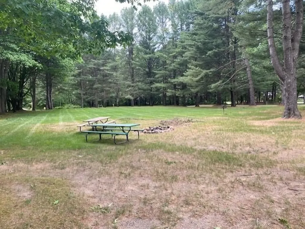 6865 Pinebrook Drive Custer Township MI 49615