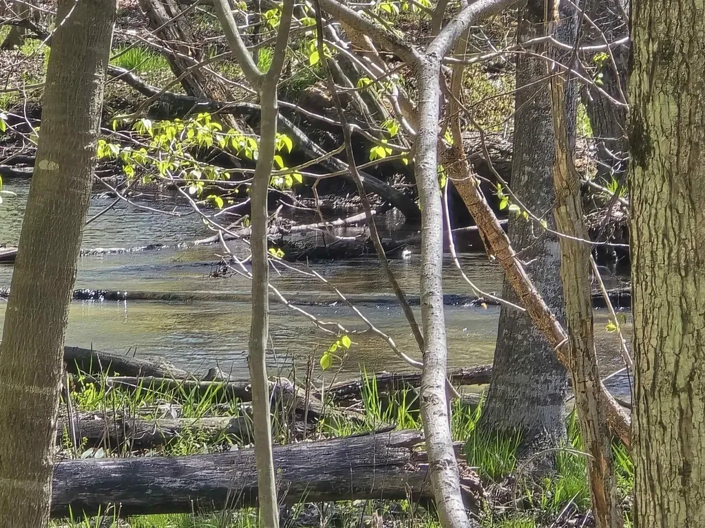10096 Grindstone Road Sylvan Township MI 49631