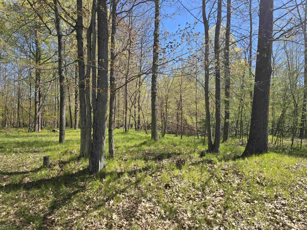 10096 Grindstone Road Sylvan Township MI 49631