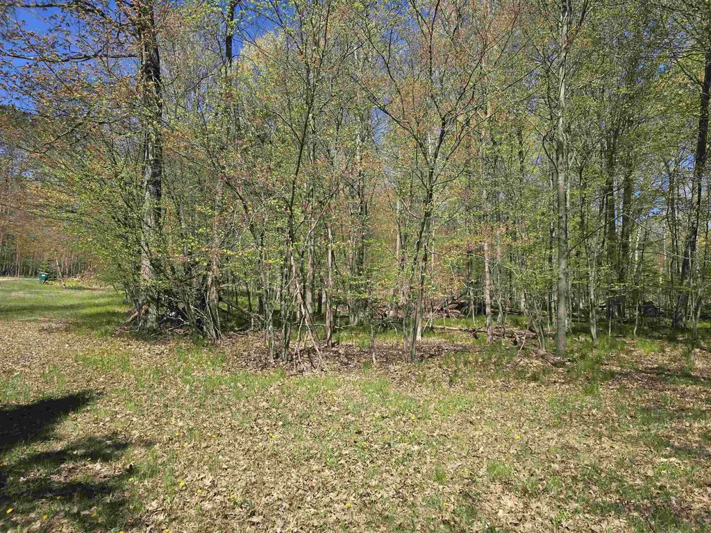 10096 Grindstone Road Sylvan Township MI 49631