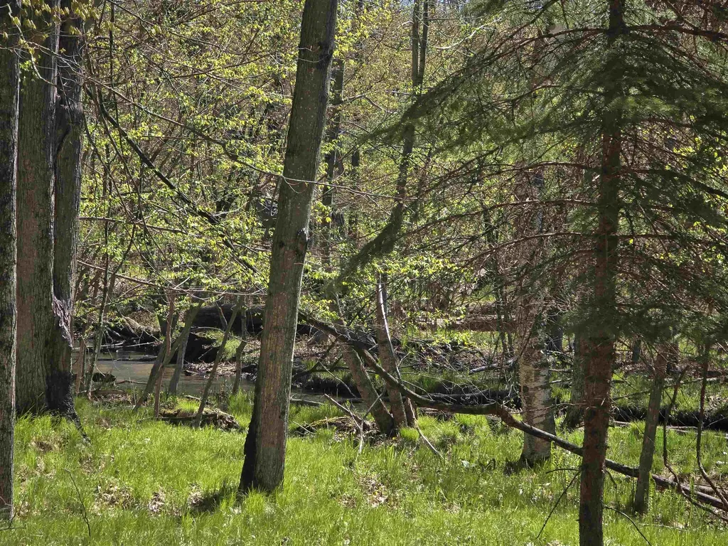 10096 Grindstone Road Sylvan Township MI 49631