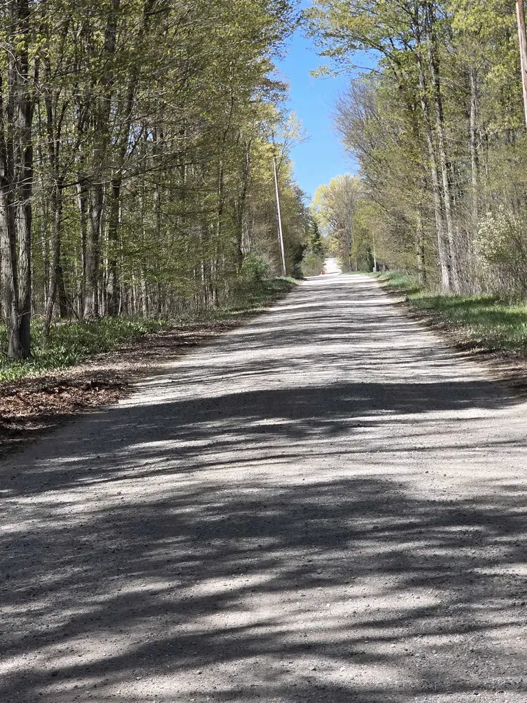 10096 Grindstone Road Sylvan Township MI 49631