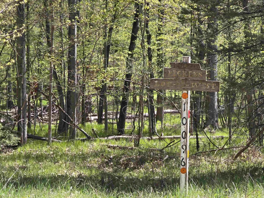 10096 Grindstone Road Sylvan Township MI 49631
