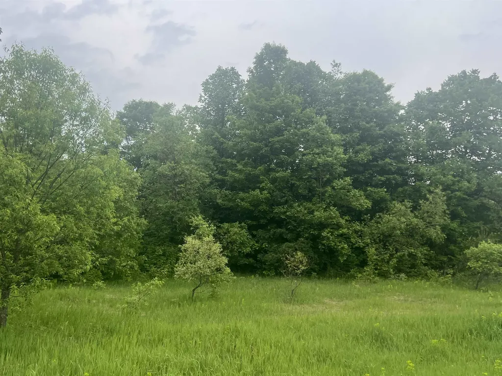 00 Wood Road, NE Coldsprings Township MI 49646