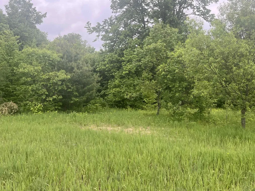 00 Wood Road, NE Coldsprings Township MI 49646