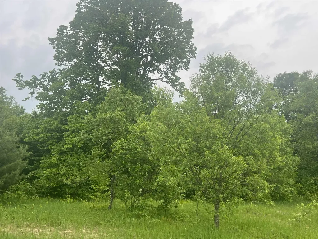 00 Wood Road, NE Coldsprings Township MI 49646
