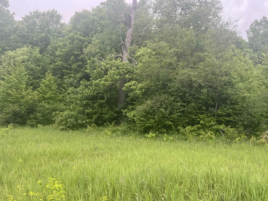 00 Wood Road, NE Coldsprings Township MI 49646