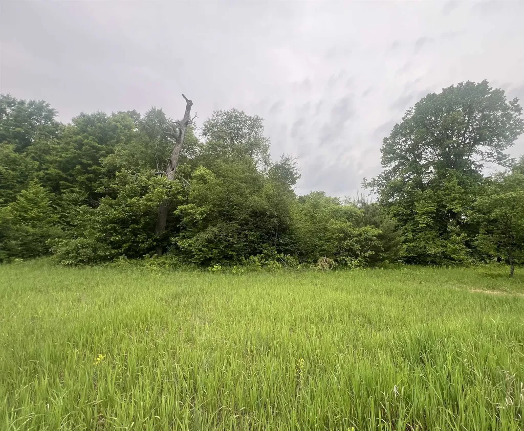 00 Wood Road, NE Coldsprings Township MI 49646