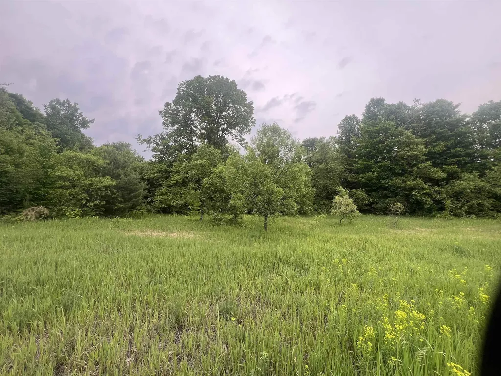 00 Wood Road, NE Coldsprings Township MI 49646