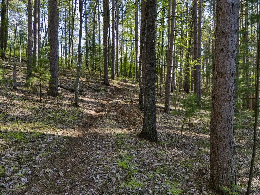 4678 Lands End Road East Bay Township MI 49686