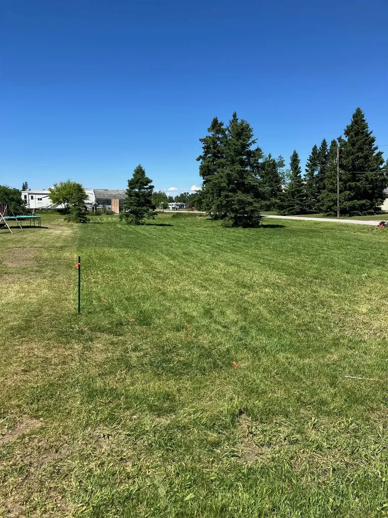 N Manila Road Road Tbd Pickford Township MI 49774