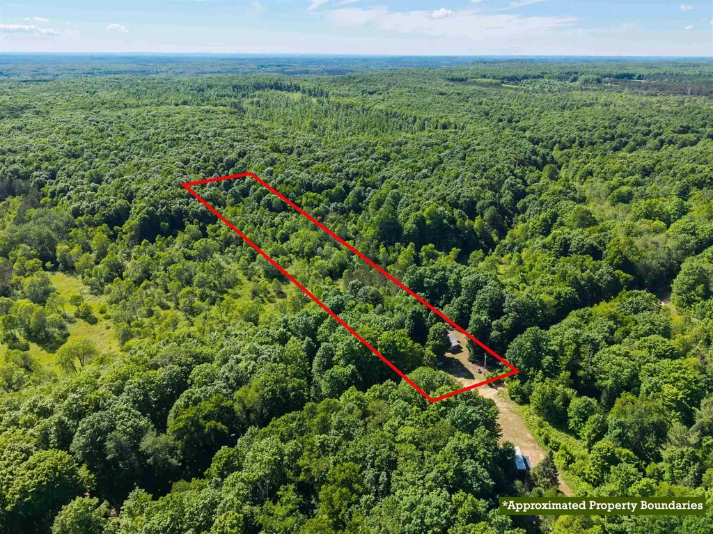 11903 Partridge Lane Mancelona Township MI 49659