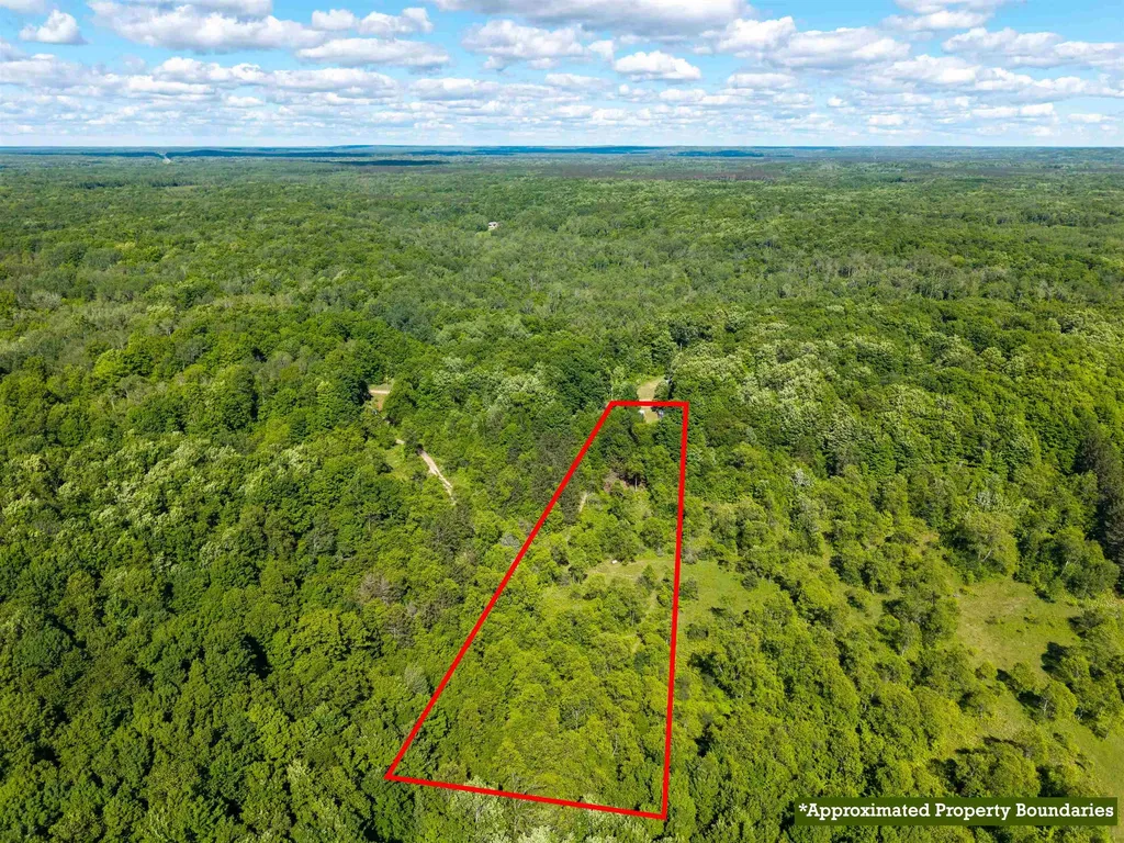 11903 Partridge Lane Mancelona Township MI 49659