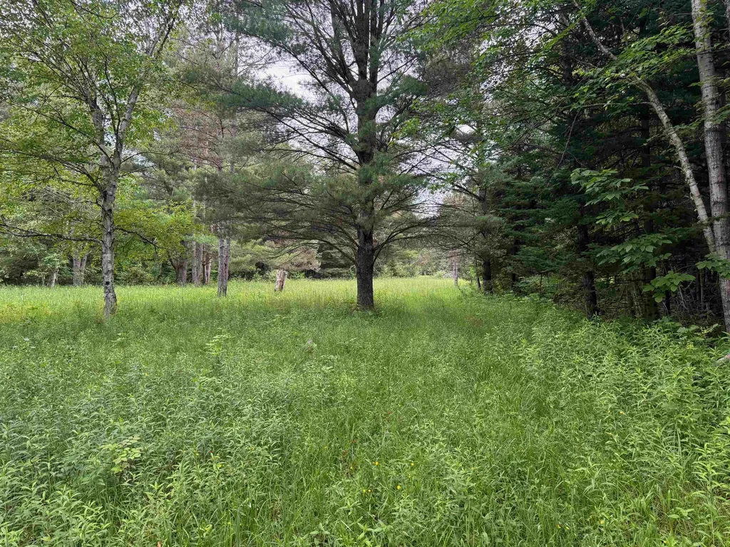 0000 S Good Harbor Trail Centerville Township MI 49621