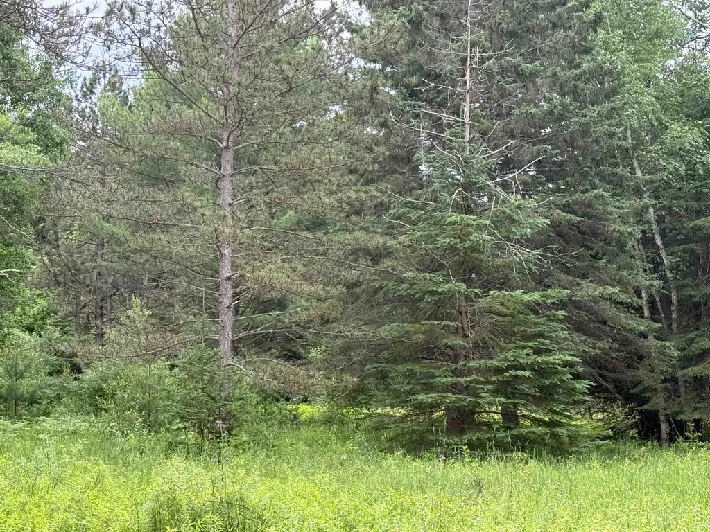 0000 S Good Harbor Trail Centerville Township MI 49621