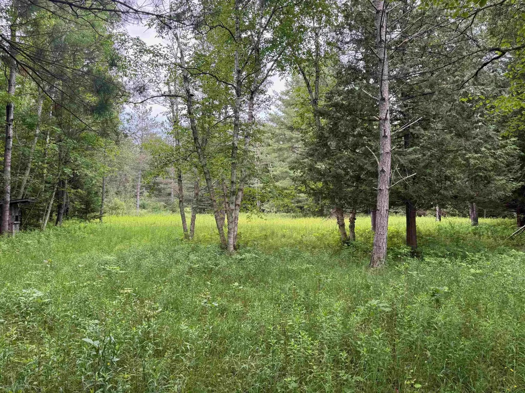 0000 S Good Harbor Trail Centerville Township MI 49621