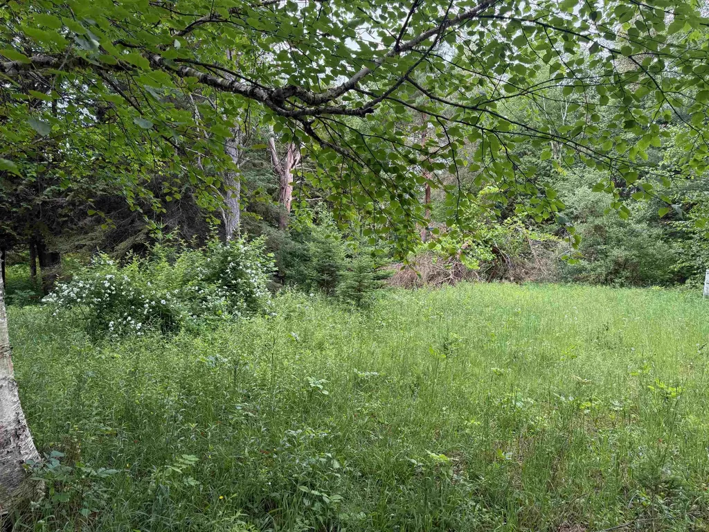 0000 S Good Harbor Trail Centerville Township MI 49621
