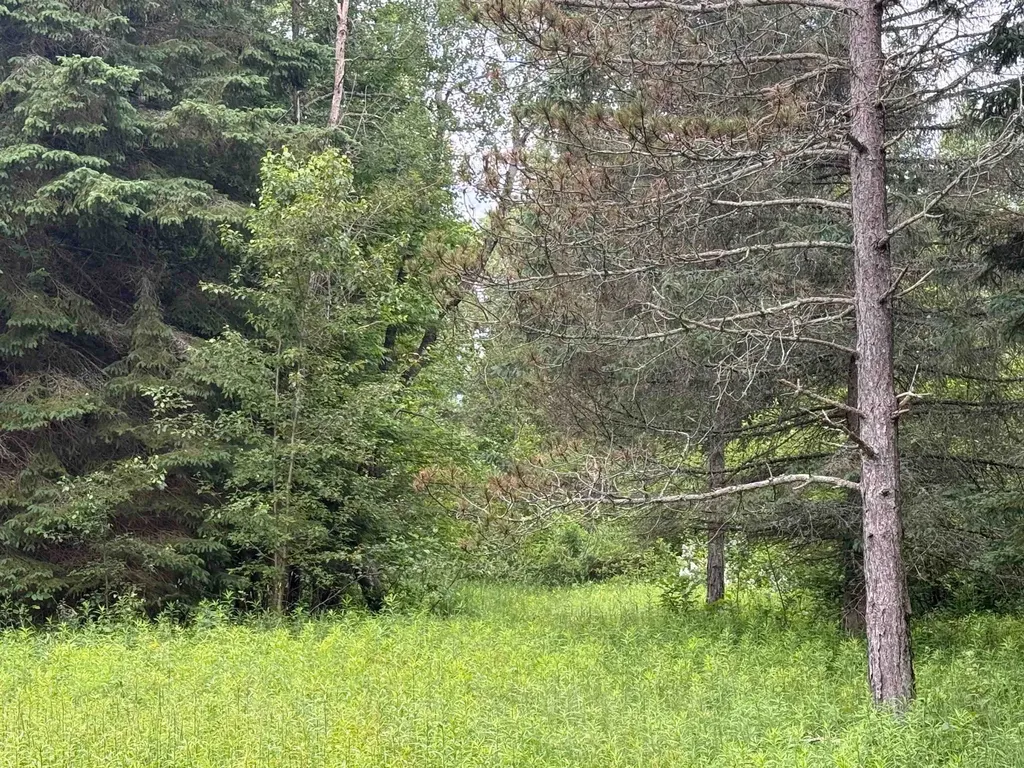 0000 S Good Harbor Trail Centerville Township MI 49621