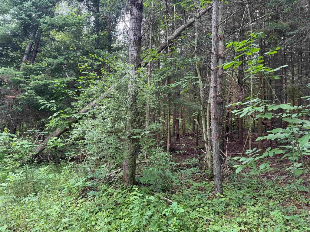 0000 S Good Harbor Trail Centerville Township MI 49621