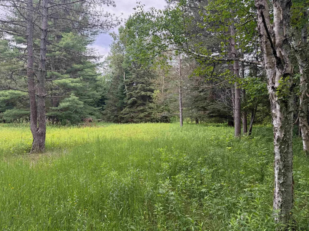 0000 S Good Harbor Trail Centerville Township MI 49621