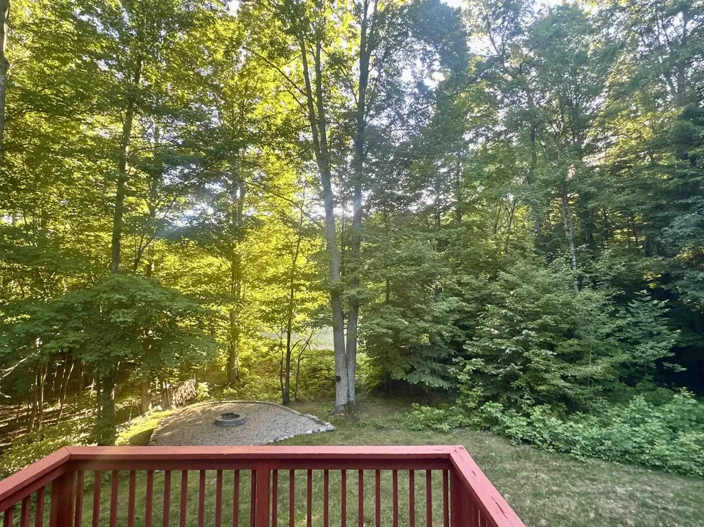 8500 Bent Pine Drive Almira Township MI 49650