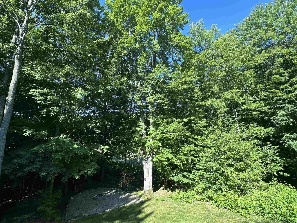 8500 Bent Pine Drive Almira Township MI 49650