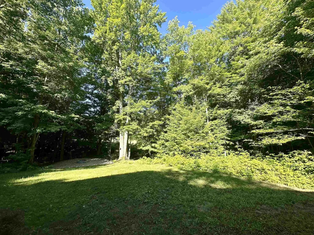 8500 Bent Pine Drive Almira Township MI 49650