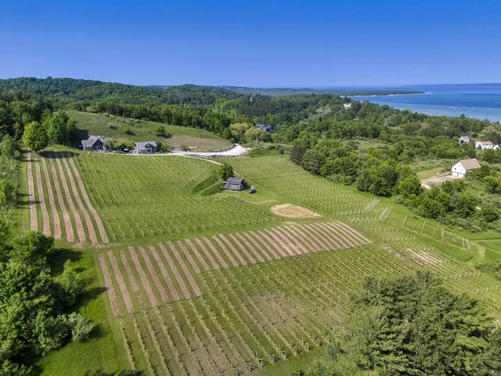 10702 E Hilltop Road Bingham Township MI 49682