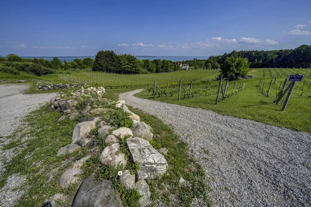 10702 E Hilltop Road Bingham Township MI 49682