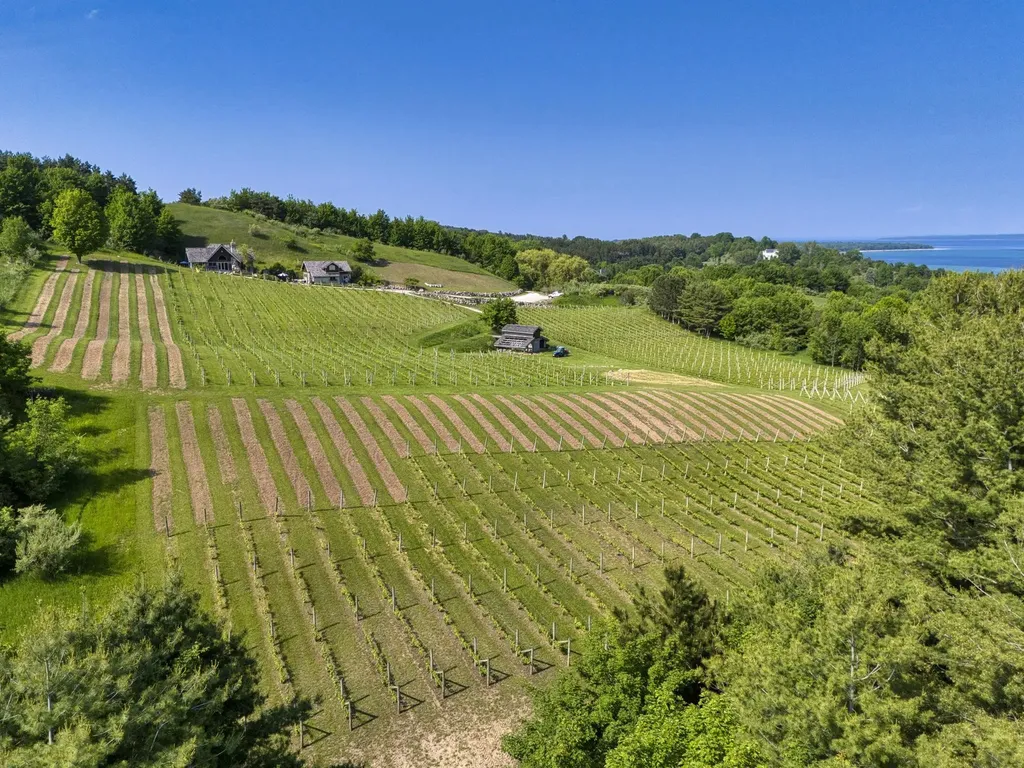 10702 E Hilltop Road Bingham Township MI 49682