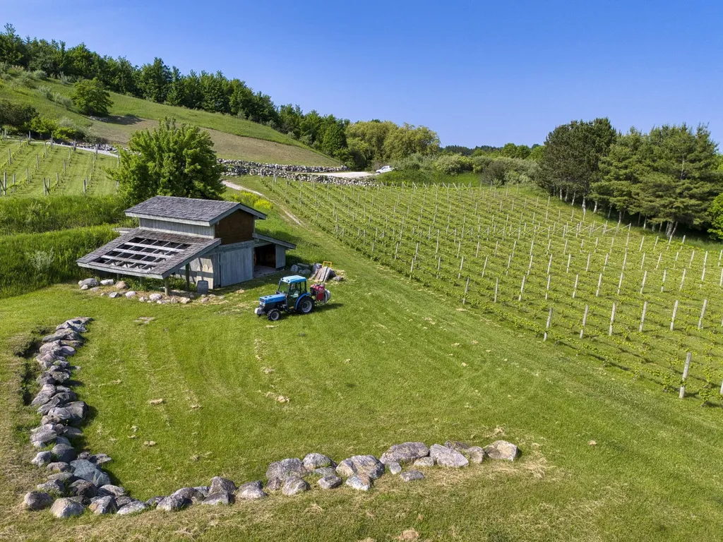 10702 E Hilltop Road Bingham Township MI 49682