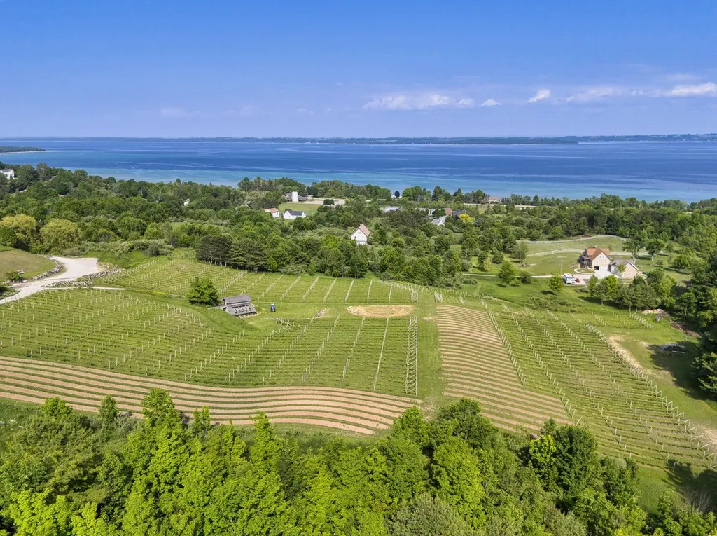 10702 E Hilltop Road Bingham Township MI 49682