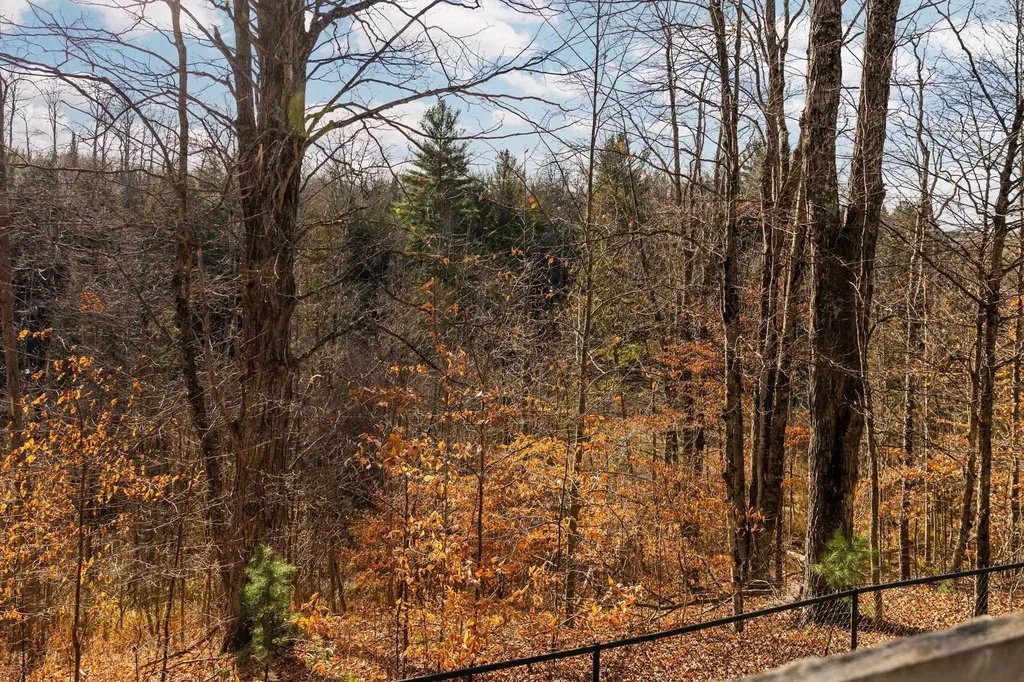 15445 Holly Drive Springdale Township MI 49683
