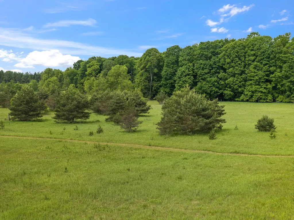 10815 N 25 Road Hanover Township MI 49649