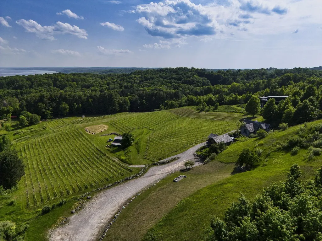 10702 E Hilltop Road Bingham Township MI 49682