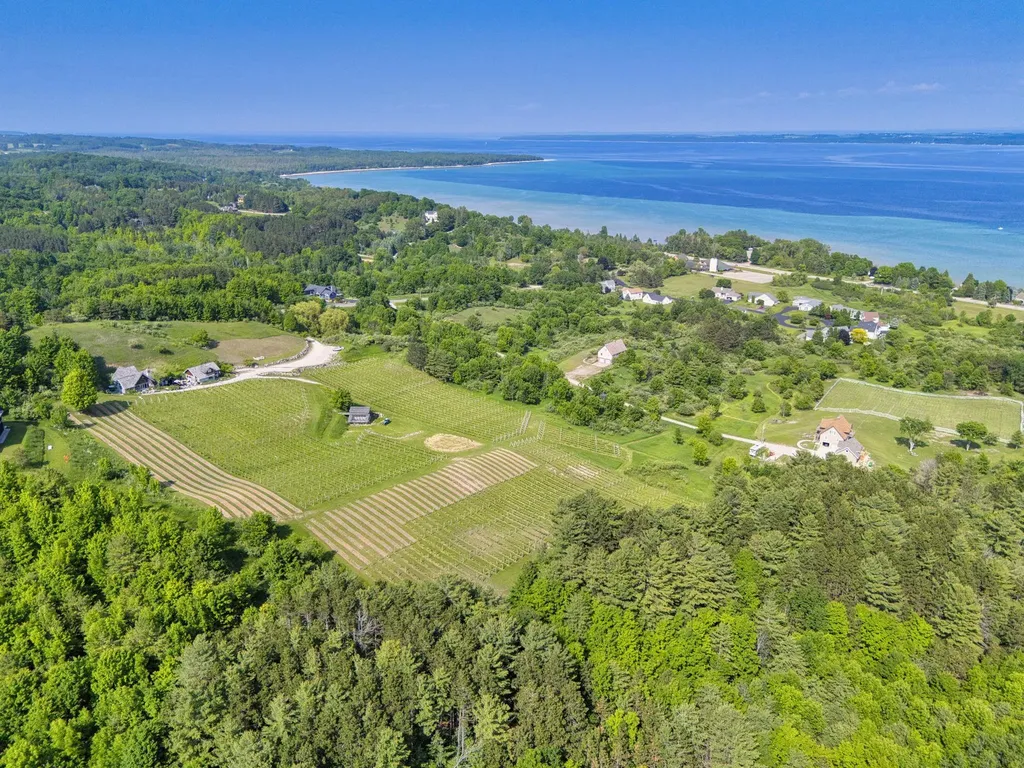 10702 E Hilltop Road Bingham Township MI 49682