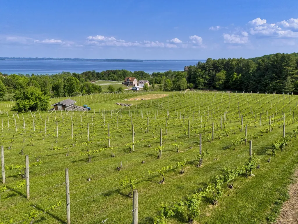 10702 E Hilltop Road Bingham Township MI 49682