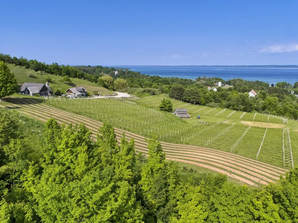 10702 E Hilltop Road Bingham Township MI 49682