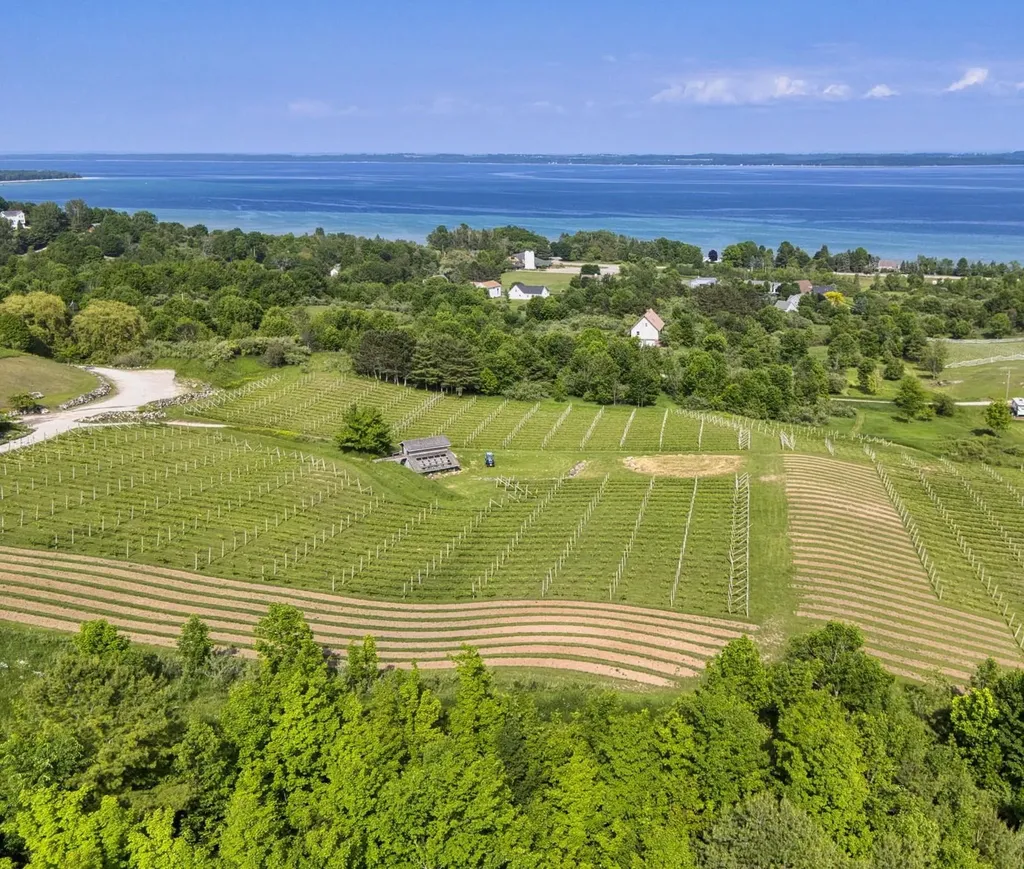10702 E Hilltop Road Bingham Township MI 49682