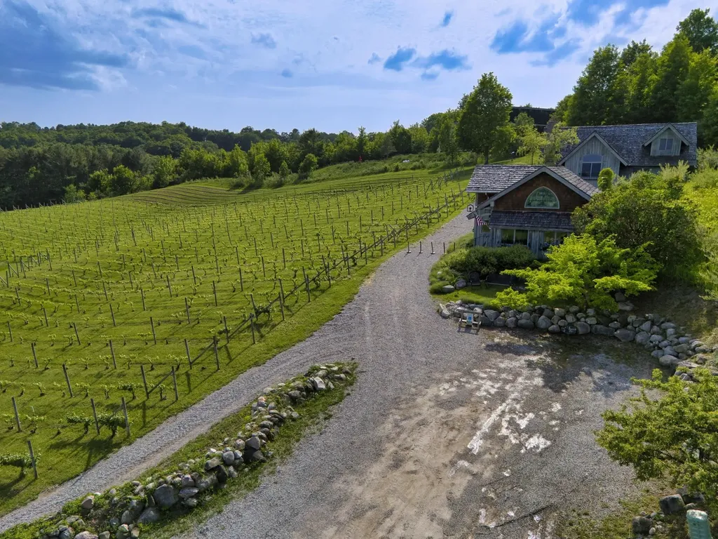 10702 E Hilltop Road Bingham Township MI 49682