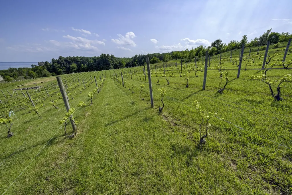 10702 E Hilltop Road Bingham Township MI 49682