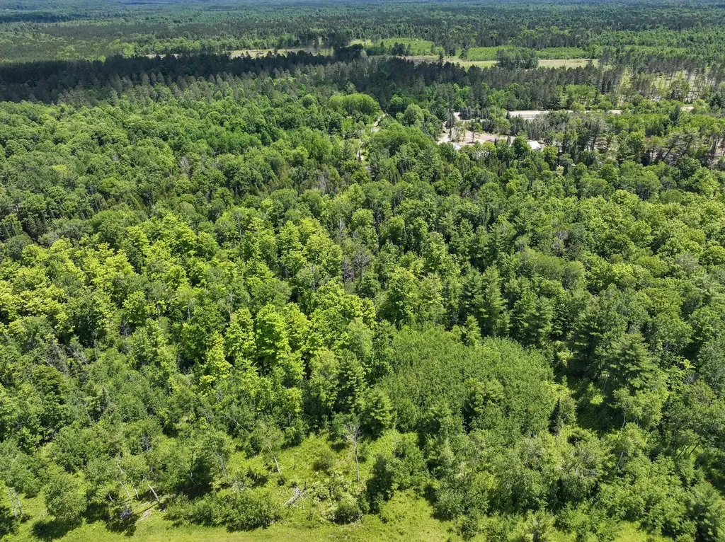 9281 N 41 Road Liberty Township MI 49663